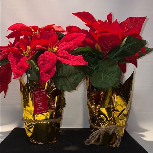 Ashland Red and Green Poinsettia Arrangement with Gold Wrap - Picture 3 of 7